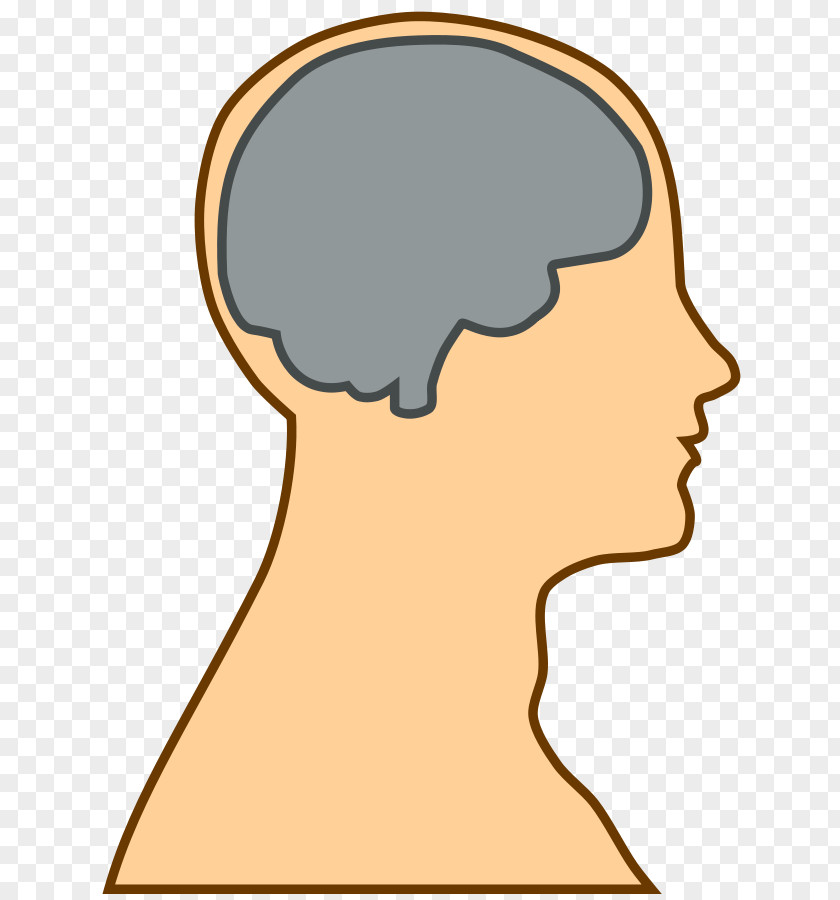 Crying Brain Cliparts Human Clip Art PNG