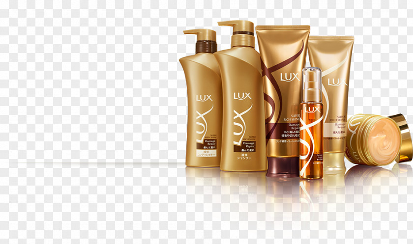 Damage Maintenance LUX Super Rich Shine Repair Hoshuu Treatment Cosmetics Capelli Hair Care PNG