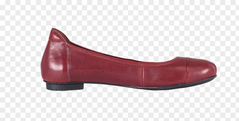 Design Walking Shoe PNG