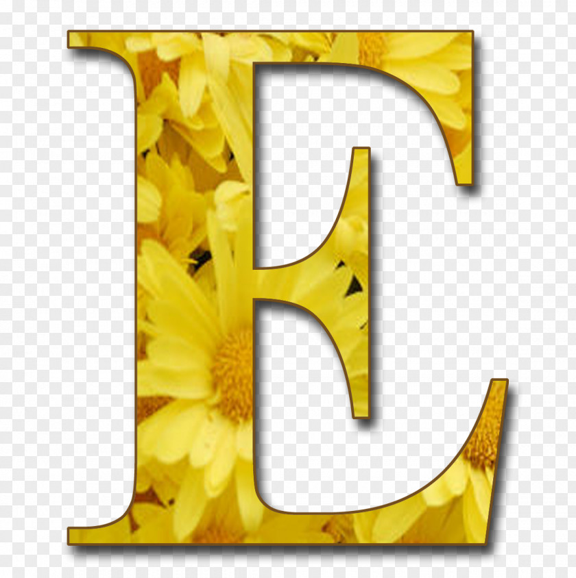 Floral LETTER Letter Yellow Alphabet PNG
