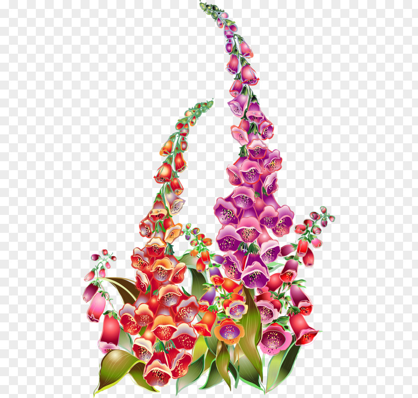 Hand-painted Bell Orchid Flower Clip Art PNG