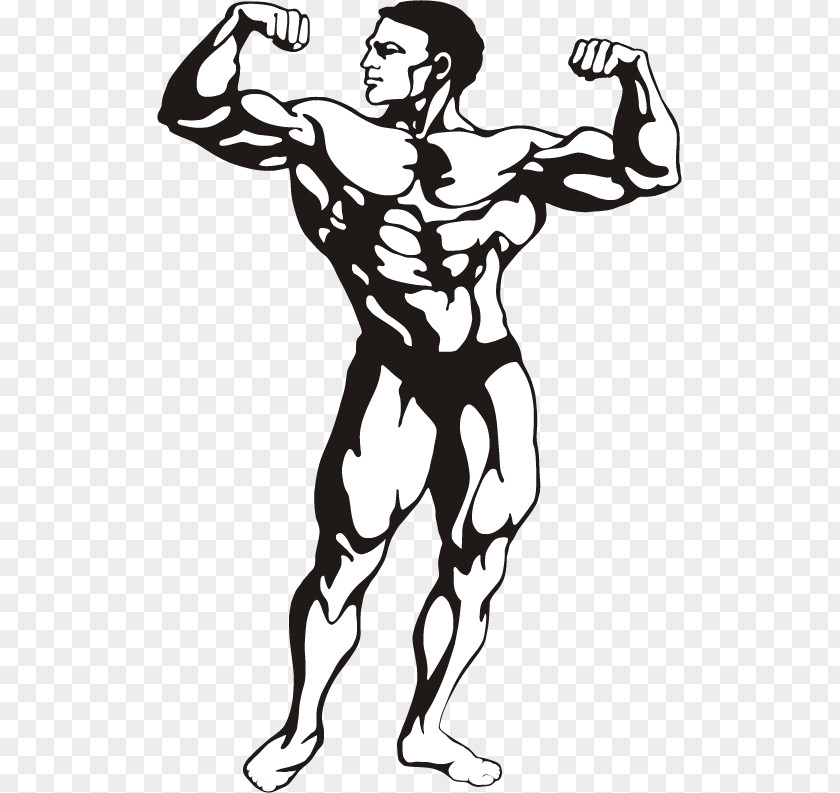 Vector Fitness Female Bodybuilding Centre Clip Art PNG