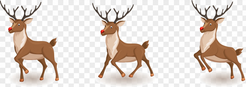 Christmas Deer Vector Material Rudolph Santa Claus Reindeer PNG