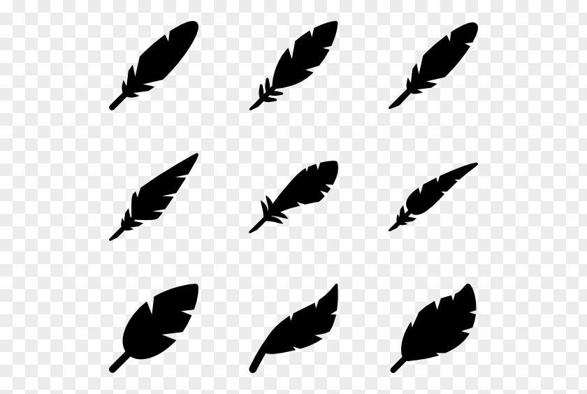 Feathers Vector Feather Bird Clip Art PNG