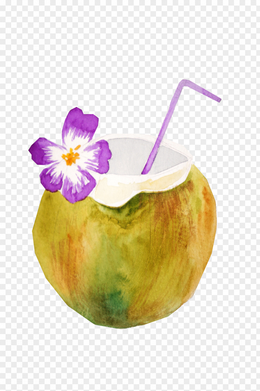 Hand-painted Coconut Milk Fruit Summer Drawing PNG