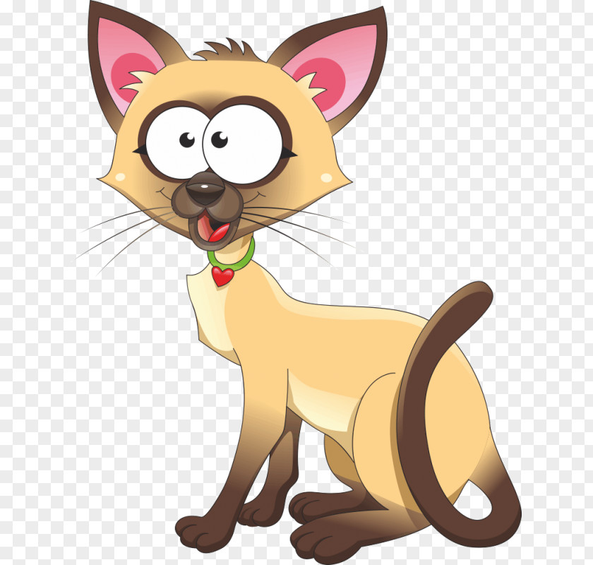 Kitten Cat Clip Art PNG