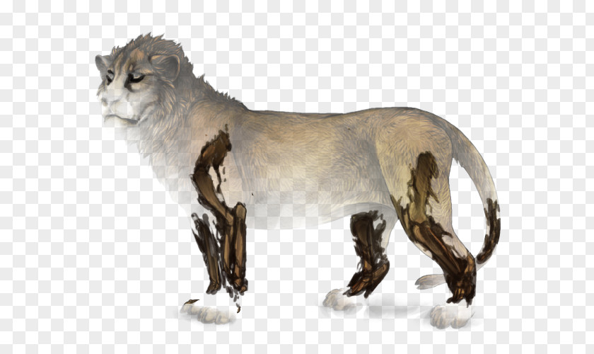 Lion Cougar Cat Wildebeest Chimera PNG