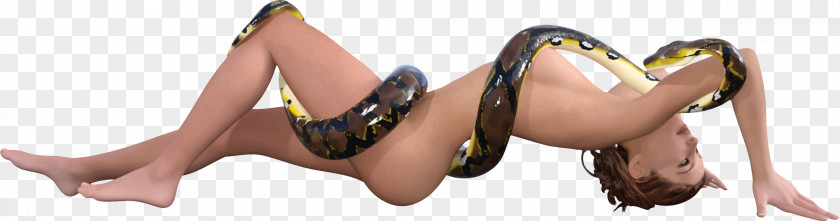 Snake Clip Art PNG