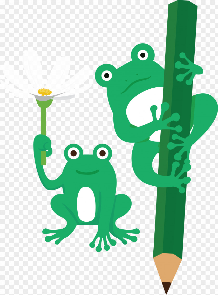 Tree Frog Frogs Cartoon Toad Green PNG