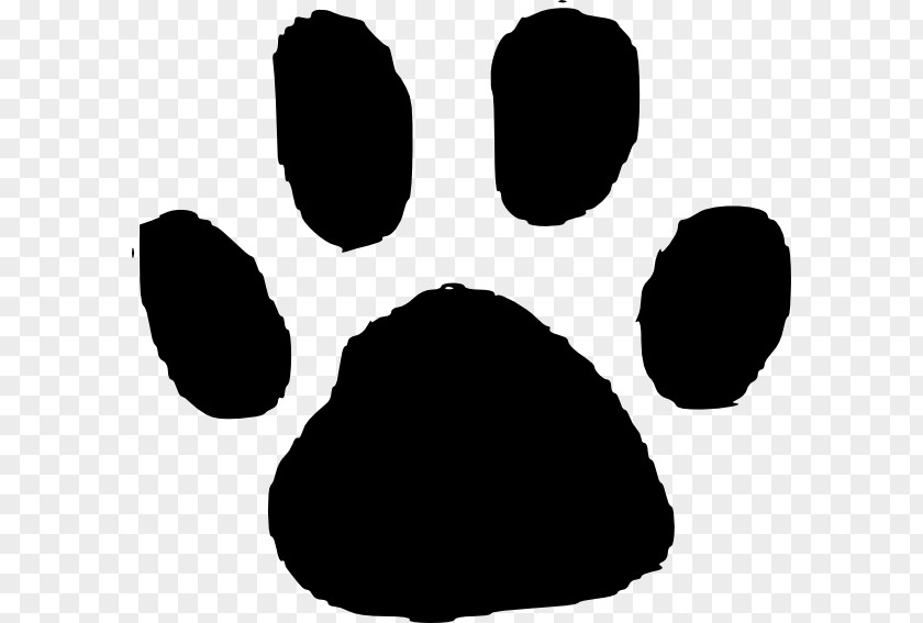 Animal Footprints Cliparts Tiger Dog Cat Track Paw PNG