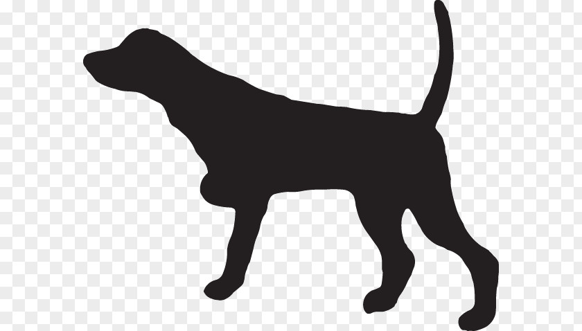 Dog Breed Pointer Beagle Labrador Retriever Black And Tan Coonhound PNG