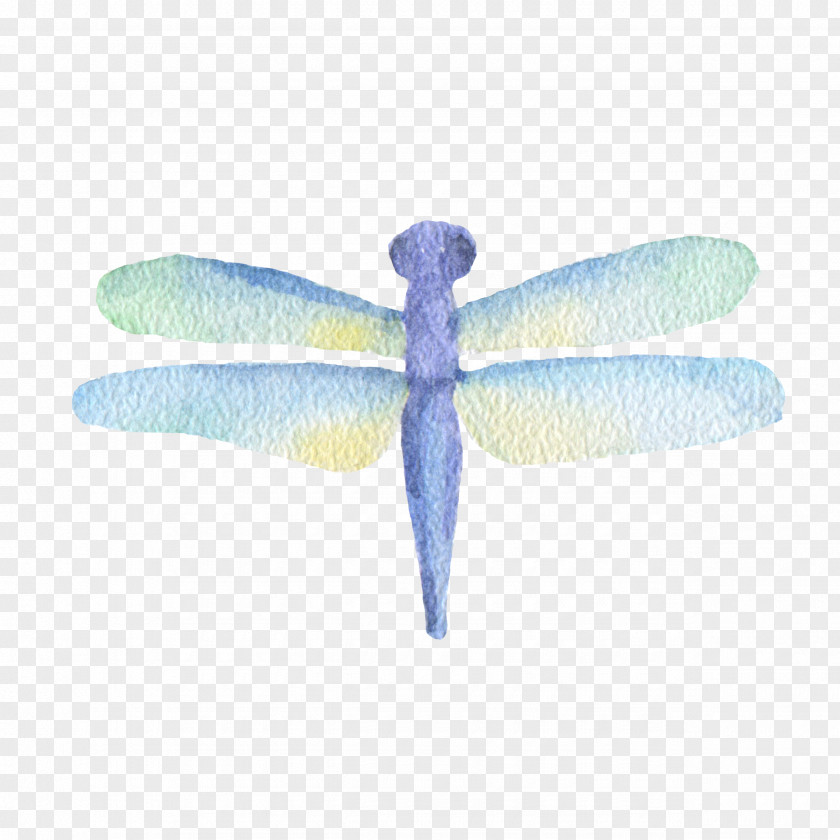 Dragonfly Insect Watercolor Painting PNG