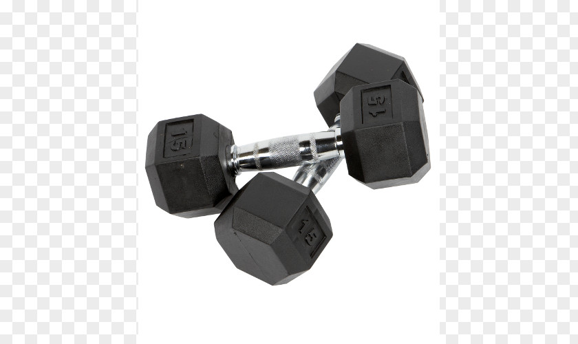 Dumbbell Barbell Physical Fitness Kettlebell Weight Training PNG