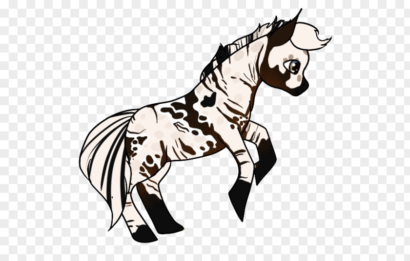 Mustang Mule Halter Mane Stallion PNG
