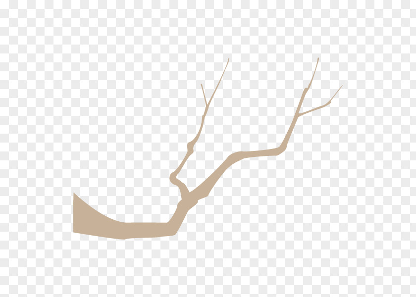 Product Design Line Antler PNG