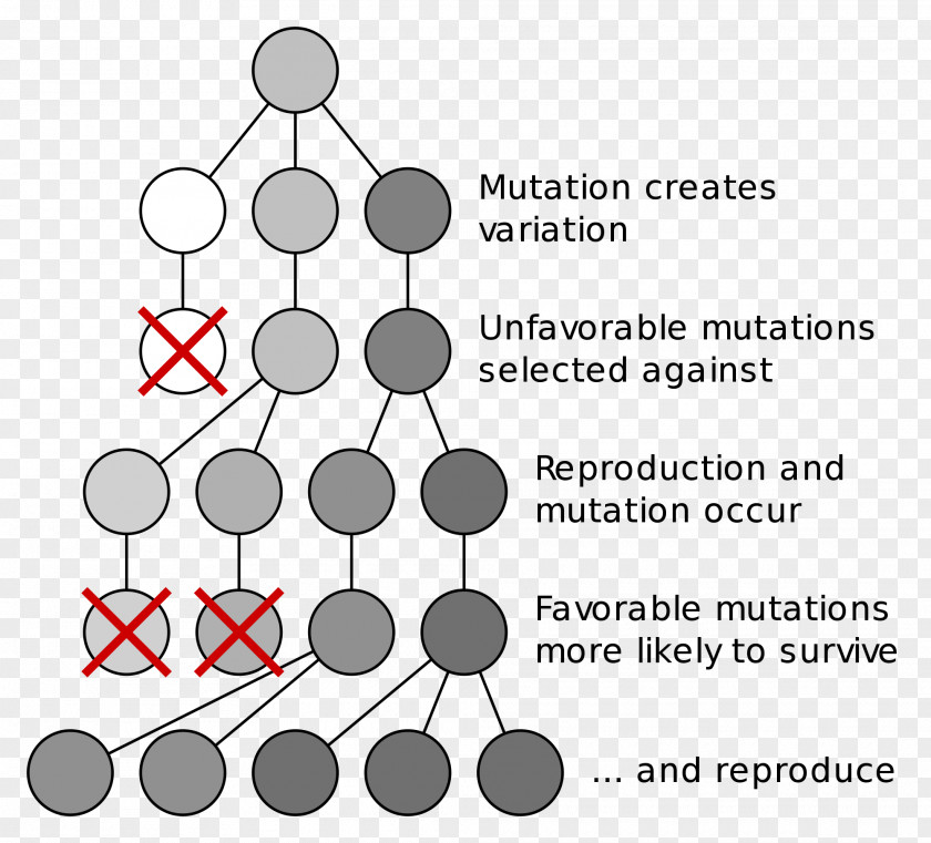 Science Evolutionary Biology Natural Selection Adaptation PNG