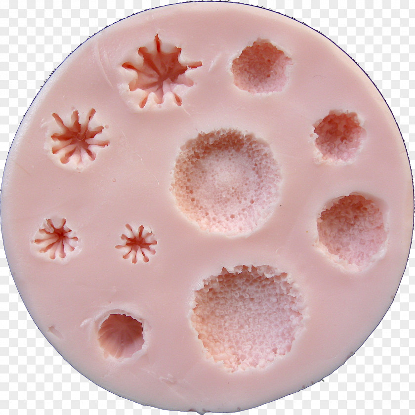 Stamens Peach Tableware PNG