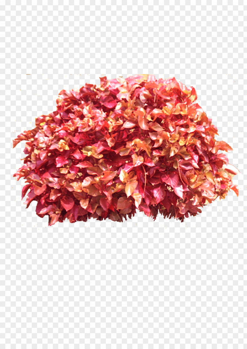 Red Bouquet Download Icon PNG