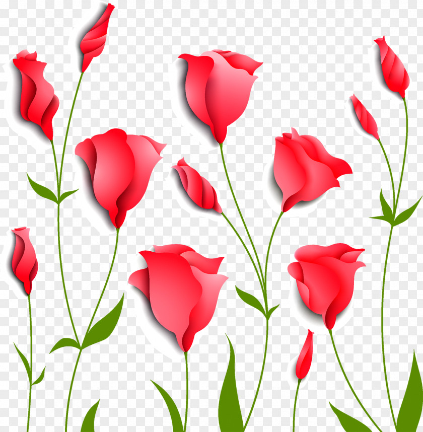 Tulip Flower Euclidean Vector Stock Photography PNG