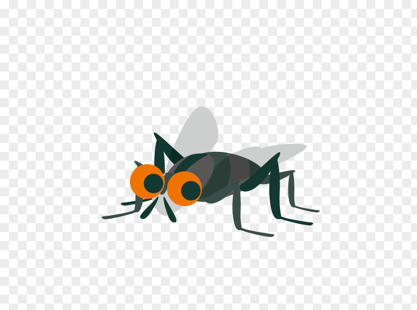Fly Insecticide Black Mosquito Clip Art PNG