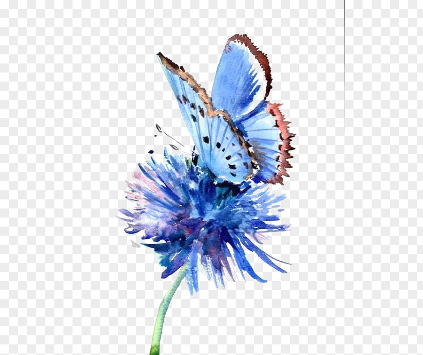 Hand-painted Background Blue Butterfly Painting Flower Drawing PNG