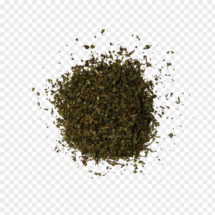 Marjoram Origanum Vulgare Nilgiri Tea Assam Seasoning Plant PNG