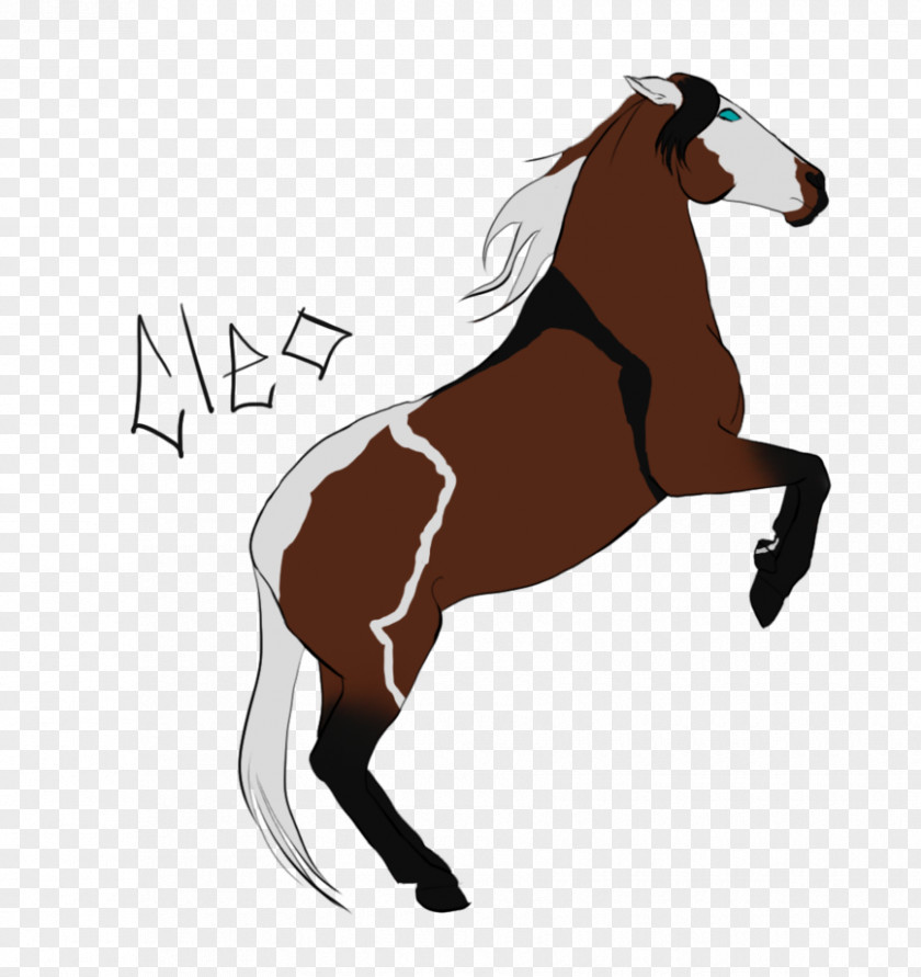 Mustang Stallion Pony Rein Mare PNG