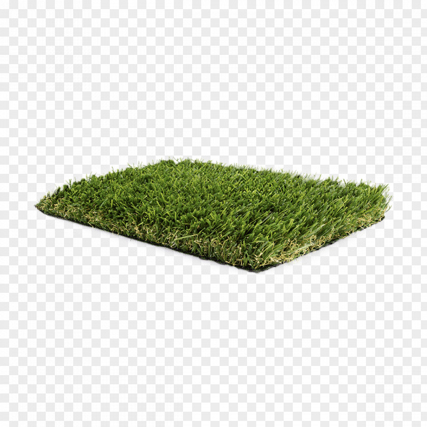 Shrub Plant Grass Green Lawn PNG
