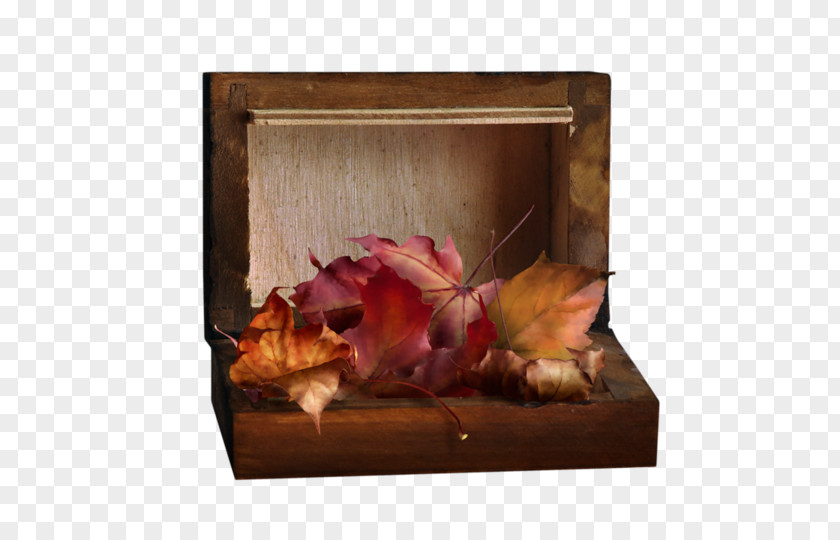 Autumn Still Life Photography Picture Frames Blog PNG