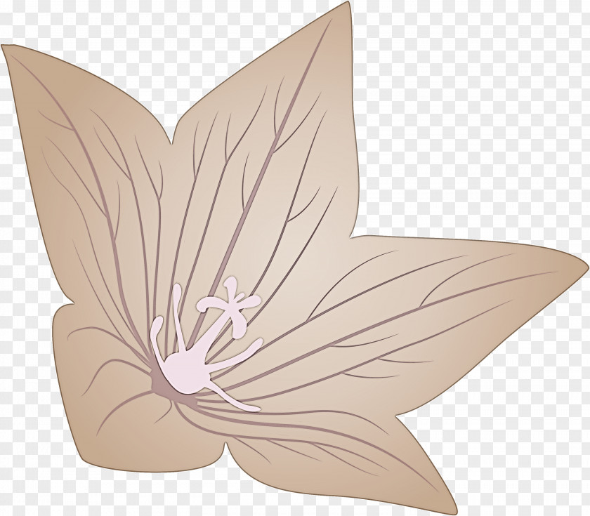 Balloon Flower PNG