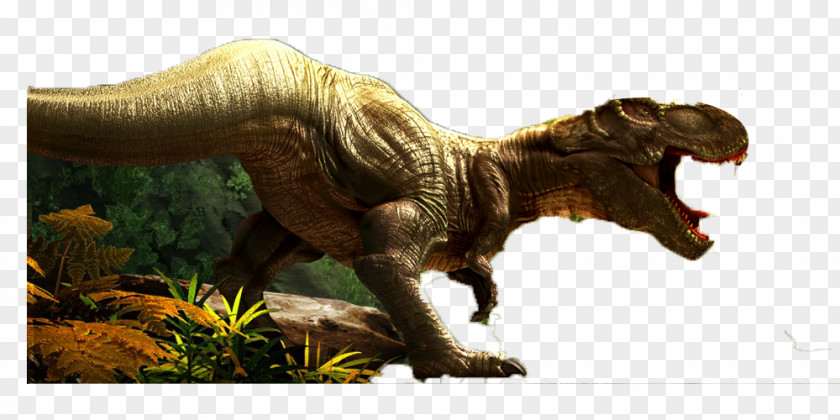 Dinosaur Tyrannosaurus Fossils Jurassic PNG