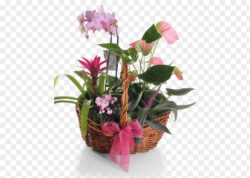 Flower Basket Plant Floral Design Food Gift Baskets Cut Flowers Vase PNG