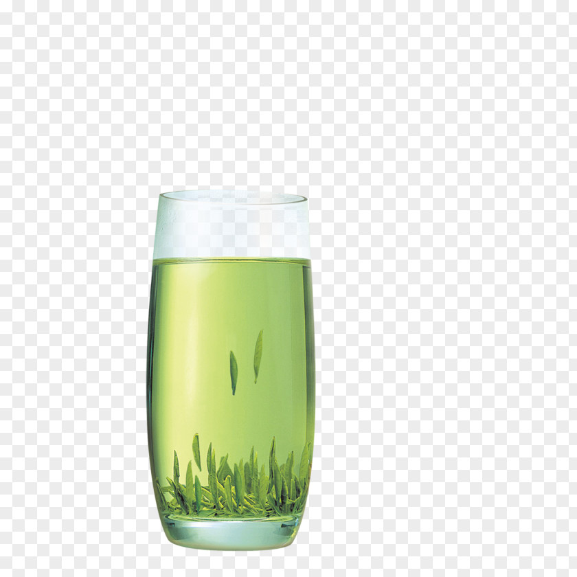 Green Tea Tieguanyin Oolong Bitter Melon PNG