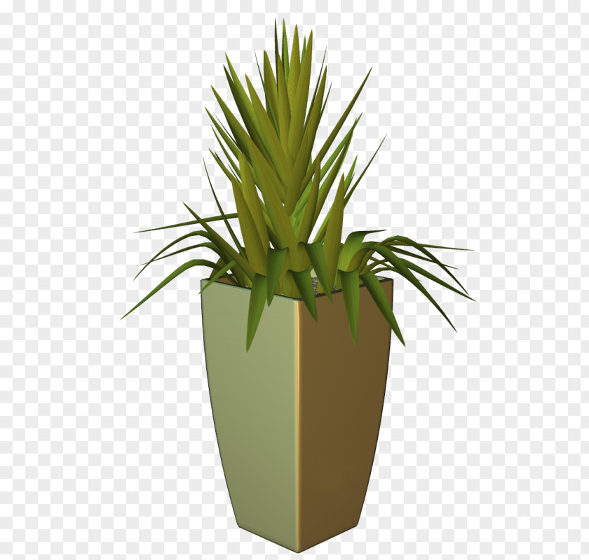 Plant Treelet Houseplant Flowerpot Agave PNG