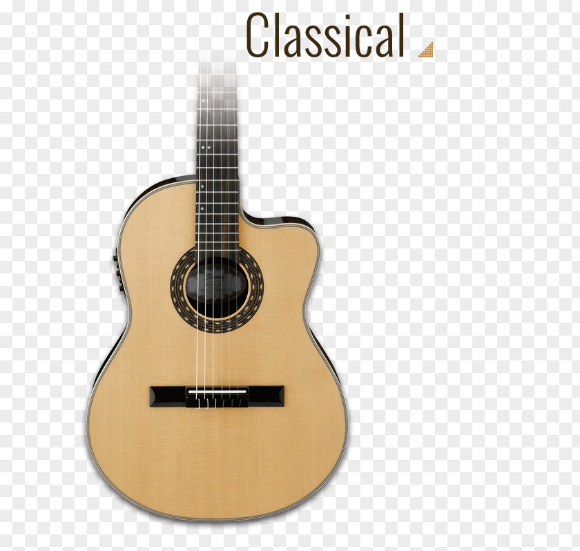 Acoustic Guitar Bass Tiple Acoustic-electric Cavaquinho PNG