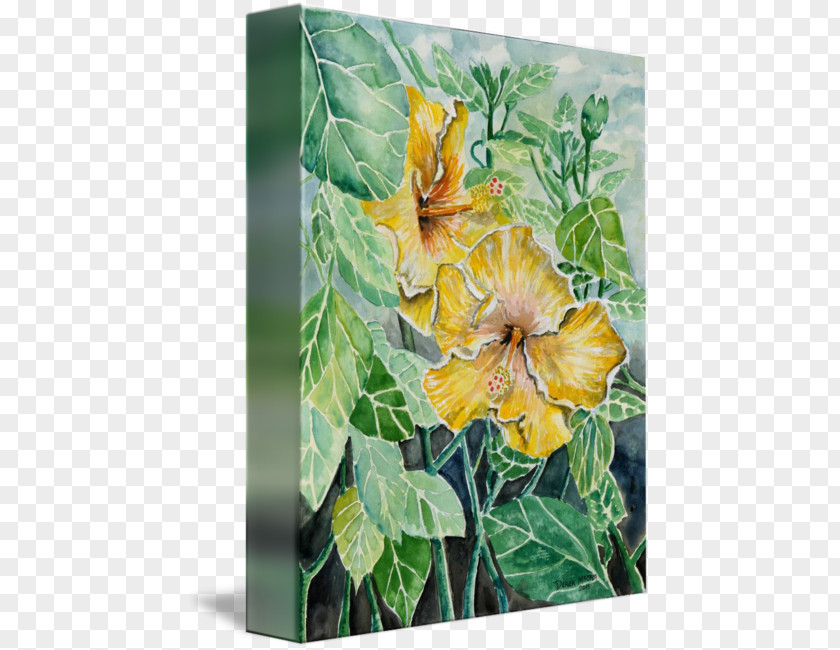 Hibiscus Watercolor Flowering Plant Painting Canvas Gallery Wrap PNG