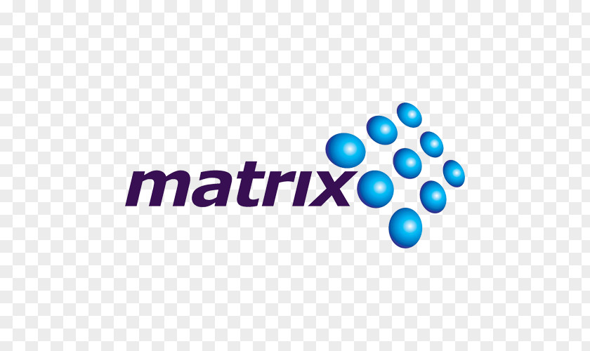Israel Matrix International Financial Services Information Technology Startup Company PNG