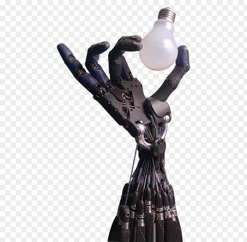 Robot Shadow Hand Humanoid Robotics Robotic Arm PNG