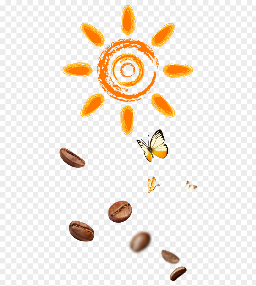 Sun Butterfly Coffee Bean Clip Art PNG