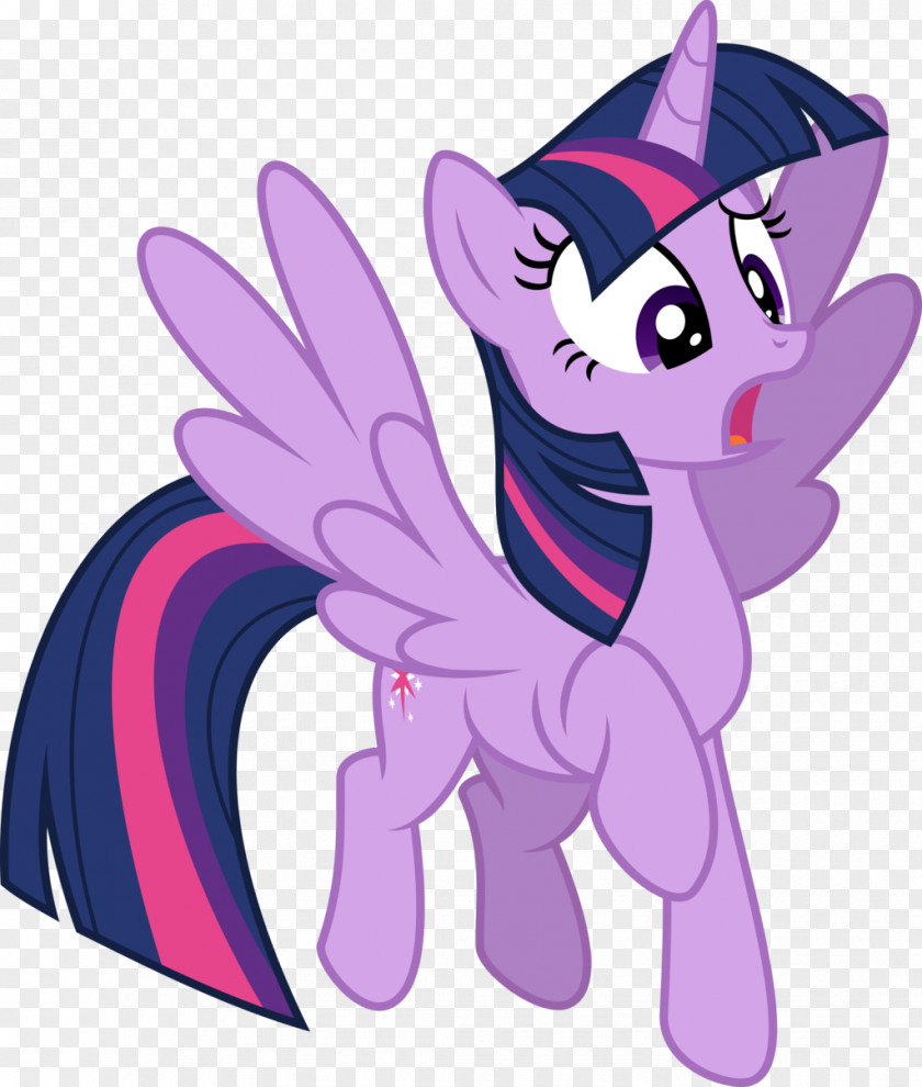 Twilight Sparkle Rainbow Dash My Little Pony The Saga PNG