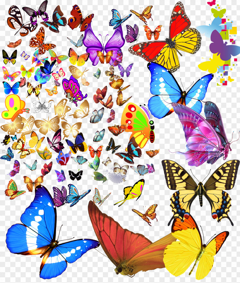 Butterfly Monarch Computer File PNG