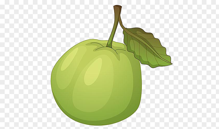 Cartoon Green Apple Material Guava Royalty-free Clip Art PNG
