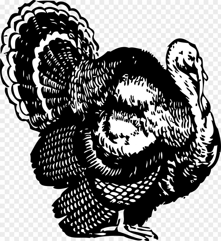 Cleaning Turkey Cliparts Black And White Thanksgiving Clip Art PNG