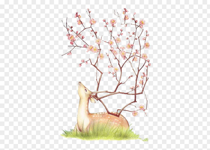Deer Illustration Cherry Blossom Design Clip Art PNG