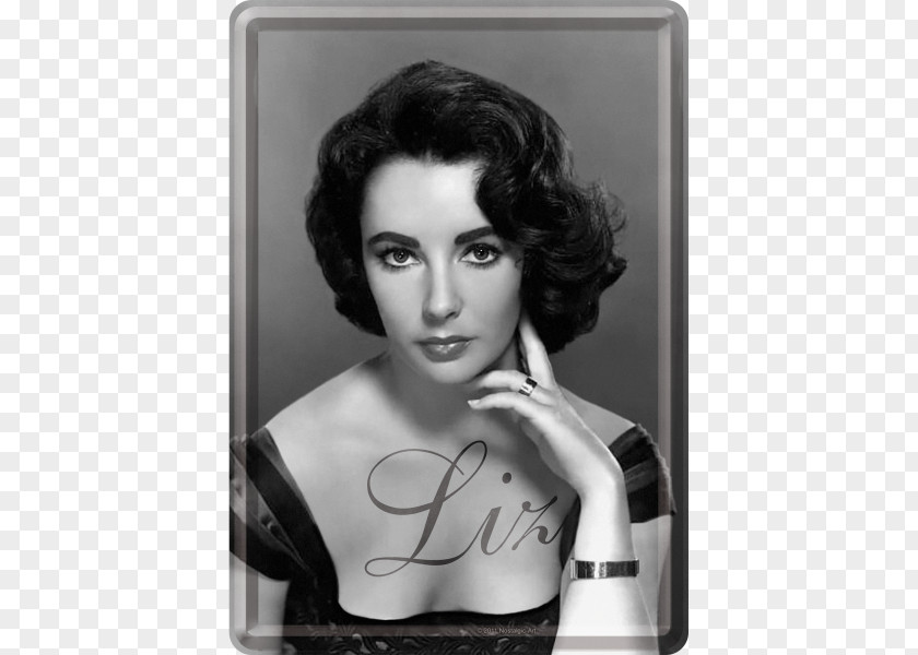 Elizabeth Taylor The Last Time I Saw Paris Hollywood Actor Black And White PNG