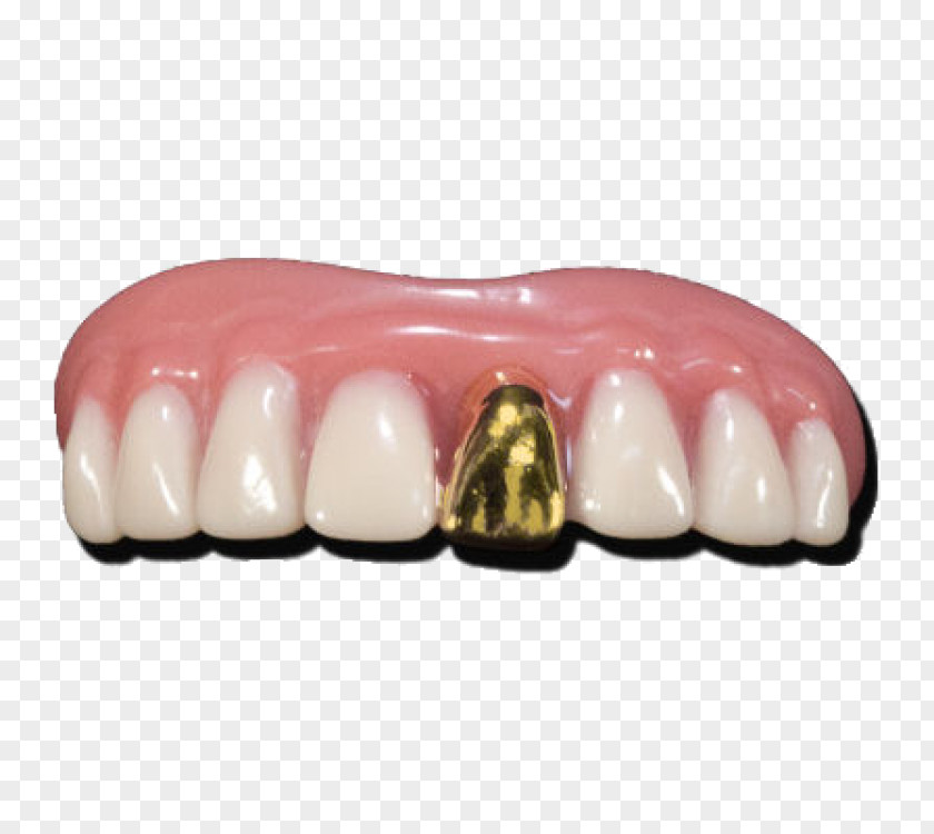 Gold Human Tooth Teeth Dentures PNG