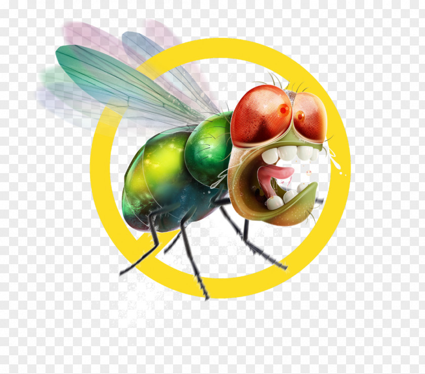Mosche Mosquito Hotel Fly Restaurant Pinturas IKELOFF PNG