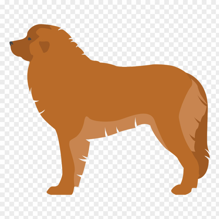 Puppy Dog Breed Leonberger Komondor Sabueso Español PNG