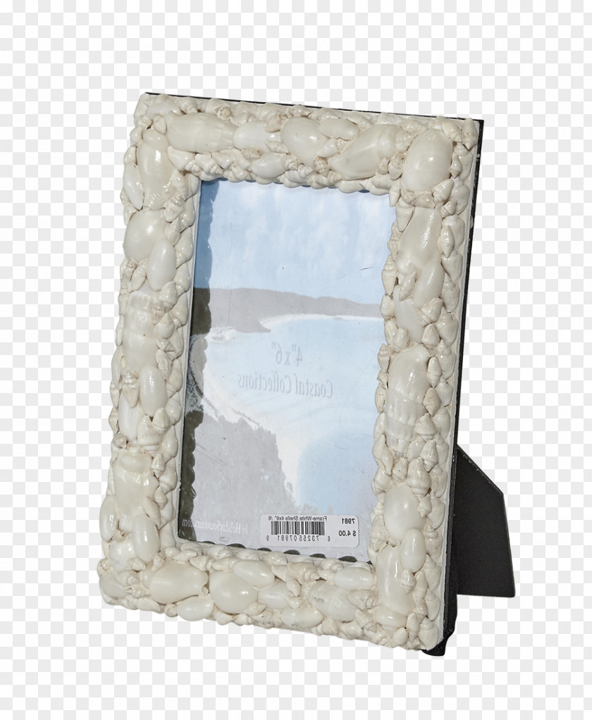 Seashell Picture Frames Glass /m/083vt Craft PNG