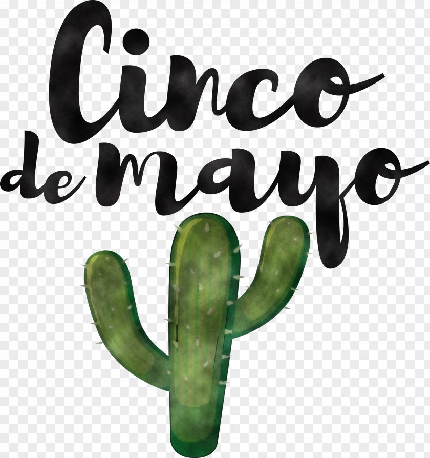 Cinco De Mayo Fifth Of May Mexico PNG